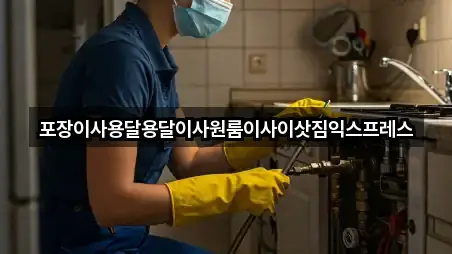 가회면 포장이사 2곳 전체 모음