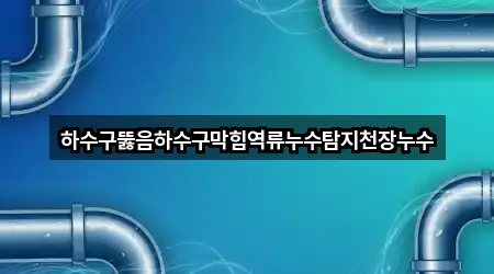 하수구뚫음하수구막힘역류누수탐지천장누수