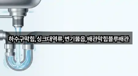 하수구막힘,싱크대역류,변기뚫음,배관막힘블루배관
