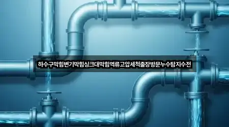 하수구막힘변기막힘싱크대막힘역류고압세척출장방문누수탐지수전