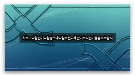 하수구막힘변기막힘씽크대막힘수전교체변기수리변기뚫음누수탐지