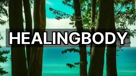 충남 당진시 우두동 에스테틱 최신 리스트 5곳