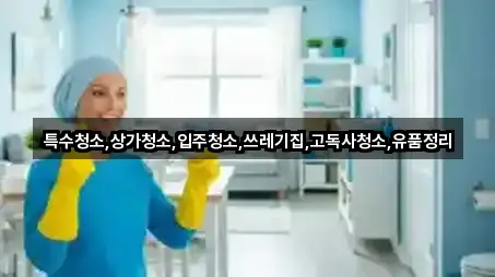 경기도 양주시 광사동 상가청소 네이버 지도 4곳