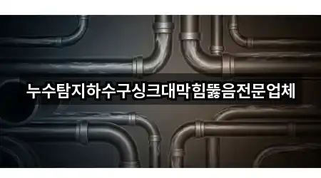 누수탐지하수구싱크대막힘뚫음전문업체