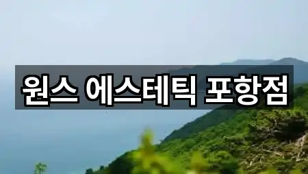 원스 에스테틱 포항점