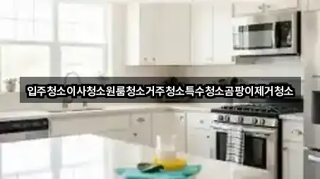 입주청소이사청소원룸청소거주청소특수청소곰팡이제거청소