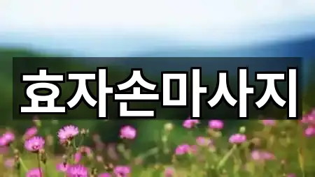 효자손마사지