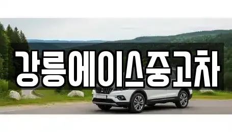 강원 강릉시 사천면 중고차 전문 강릉에이스중고차