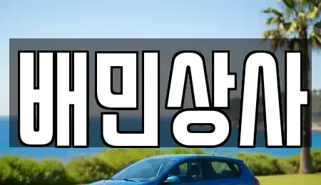 강원 강릉시 연곡면 중고차 전문 배민상사