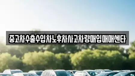 강원 강릉시 연곡면 중고차매입 전문 중고차수출수입차노후차사고차량매입매매센타