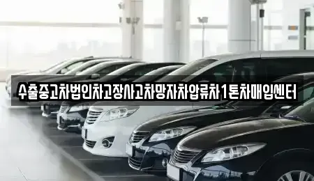 강원 고성군 간성읍 중고차 전문 수출중고차법인차고장사고차망자차압류차1톤차매입센터