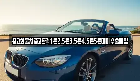 강원 고성군 간성읍 중고차 전문 중고화물차중고트럭1톤2.5톤3.5톤4.5톤5톤매매수출매입