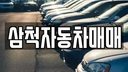 강원 삼척시 마평동 중고차매매 전문 삼척자동차매매