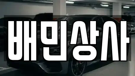 강원특별자치도 삼척시 남양동 중고차 전문 배민상사