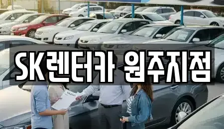 강원특별자치도 원주시 원동 장기렌트카 전문 SK렌터카 원주지점