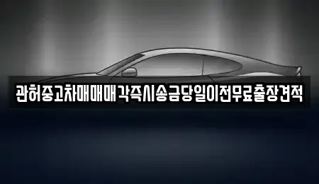 강원특별자치도 원주시 원동 중고차 전문 관허중고차매매매각즉시송금당일이전무료출장견적