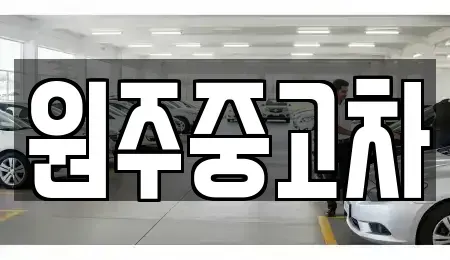 강원특별자치도 원주시 원동 중고차매매 전문 원주중고차