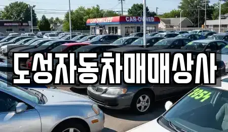 강원특별자치도 인제군 인제읍 중고차매매 전문 도성자동차매매상사