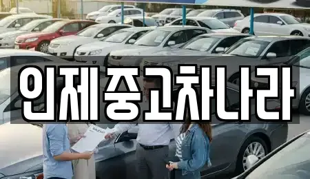 강원특별자치도 인제군 인제읍 중고차매매 전문 인제중고차나라
