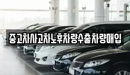 강원특별자치도 인제군 인제읍 중고차매입 전문 중고차사고차노후차량수출차량매입