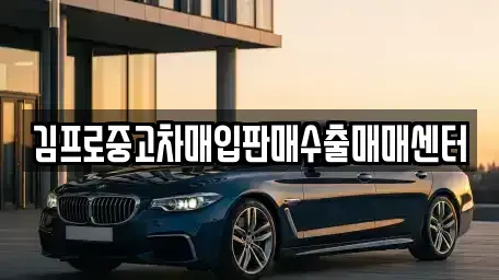 강원특별자치도 철원군 갈말읍 중고차 전문 김프로중고차매입판매수출매매센터