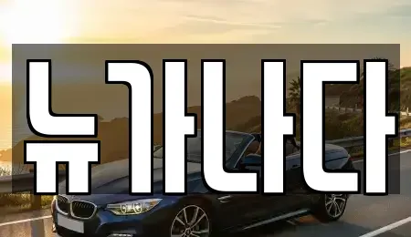 경기 고양시 덕양구 행신동 렌트카 전문 뉴가나다