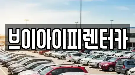경기 고양시 덕양구 행신동 렌트카 전문 브이아이피렌터카