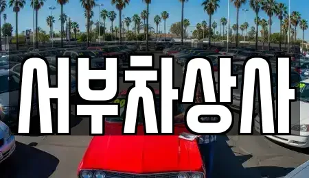 경기 고양시 덕양구 행신동 중고차 전문 서부차상사