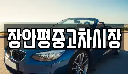 경기 군포시 둔대동 중고차 전문 장안평중고차시장