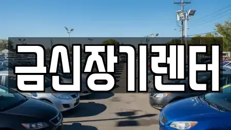 경기 김포시 걸포동 단기렌트카 전문 금신장기렌터