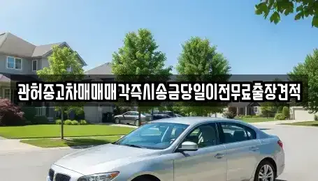 경기 김포시 걸포동 중고차매매 전문 관허중고차매매매각즉시송금당일이전무료출장견적
