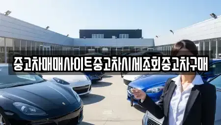 경기 김포시 걸포동 중고차매매 전문 중고차매매사이트중고차시세조회중고차구매