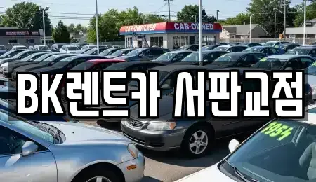 경기 성남시 분당구 대장동 렌트카 전문 BK렌트카 서판교점