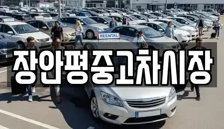 경기 성남시 분당구 대장동 중고차 전문 장안평중고차시장