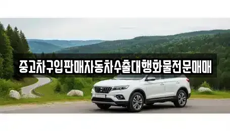 경기 성남시 분당구 대장동 중고차 전문 중고차구입판매자동차수출대행화물전문매매