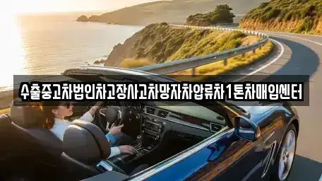 경기 성남시 분당구 대장동 중고차매입 전문 수출중고차법인차고장사고차망자차압류차1톤차매입센터