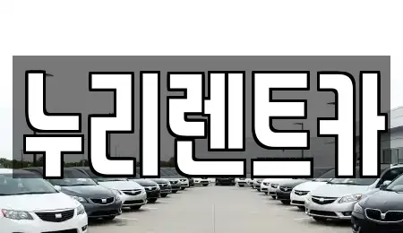 경기 안성시 양성면 렌트카 전문 누리렌트카