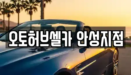 경기 안성시 양성면 중고차 전문 오토허브셀카 안성지점