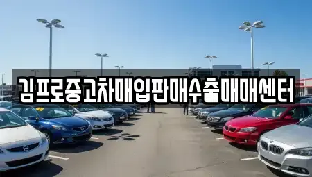 경기 안성시 양성면 중고차매입 전문 김프로중고차매입판매수출매매센터