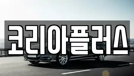 경기 용인시 기흥구 구갈동 장기렌트카 전문 코리아플러스