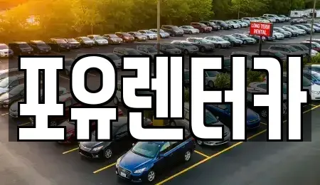 경기 용인시 기흥구 구갈동 장기렌트카 전문 포유렌터카