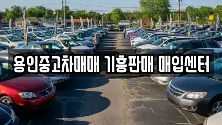 경기 용인시 기흥구 구갈동 중고차 전문 용인중고차매매 기흥판매 매입센터