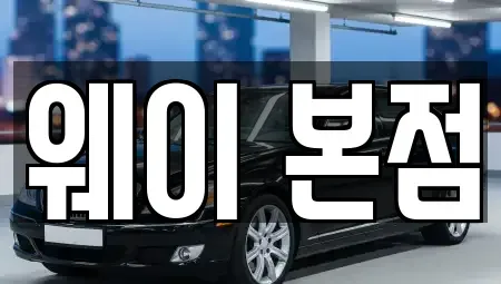 경기 의왕시 오전동 단기렌트카 전문 웨이 본점