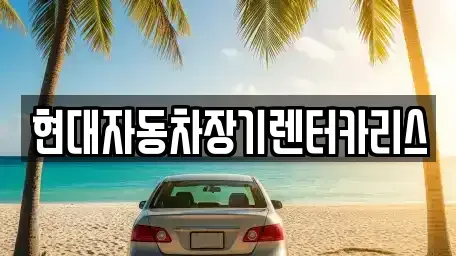 경기 의왕시 오전동 장기렌트카 전문 현대자동차장기렌터카리스
