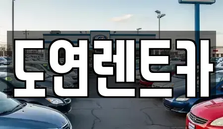 경기 의정부시 낙양동 렌트카 전문 도연렌트카