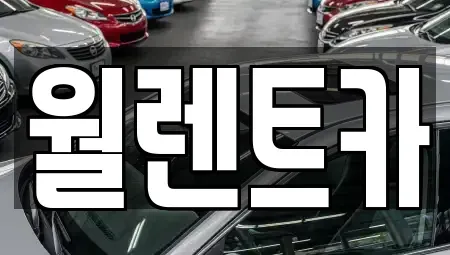 경기 의정부시 낙양동 렌트카 전문 월렌트카