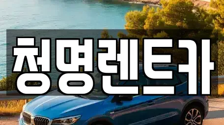 경기 화성시 배양동 렌트카 전문 청명렌트카