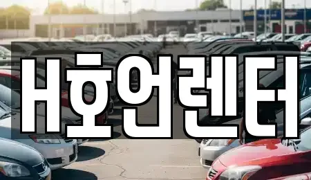 경기도 김포시 감정동 장기렌트카 전문 H호언렌터