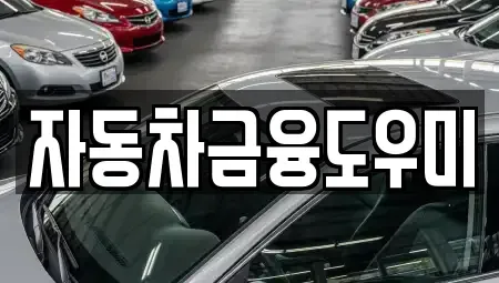 경기도 김포시 감정동 장기렌트카 전문 자동차금융도우미