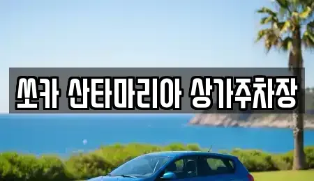 경기도 김포시 장기동 장기렌트카 전문 쏘카 산타마리아 상가주차장
